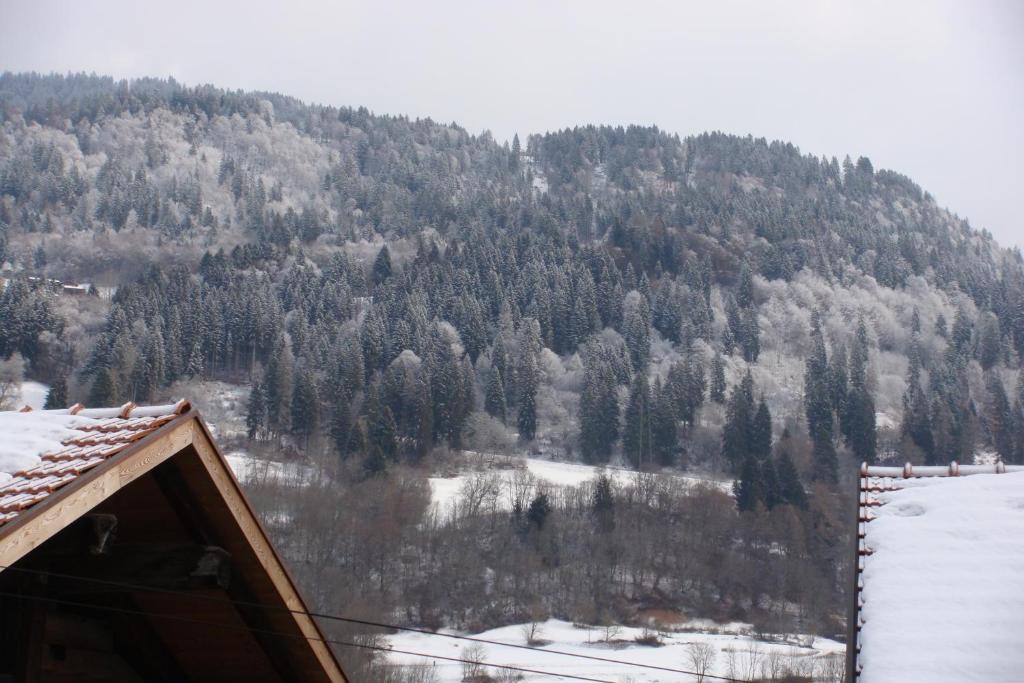 Bnb Hasatrog Jenaz ภายนอก รูปภาพ